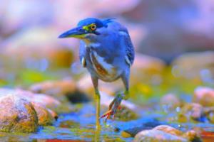 2017-18赛季西甲联赛，冠军争夺战与球员新星的崛起西甲联赛17-18